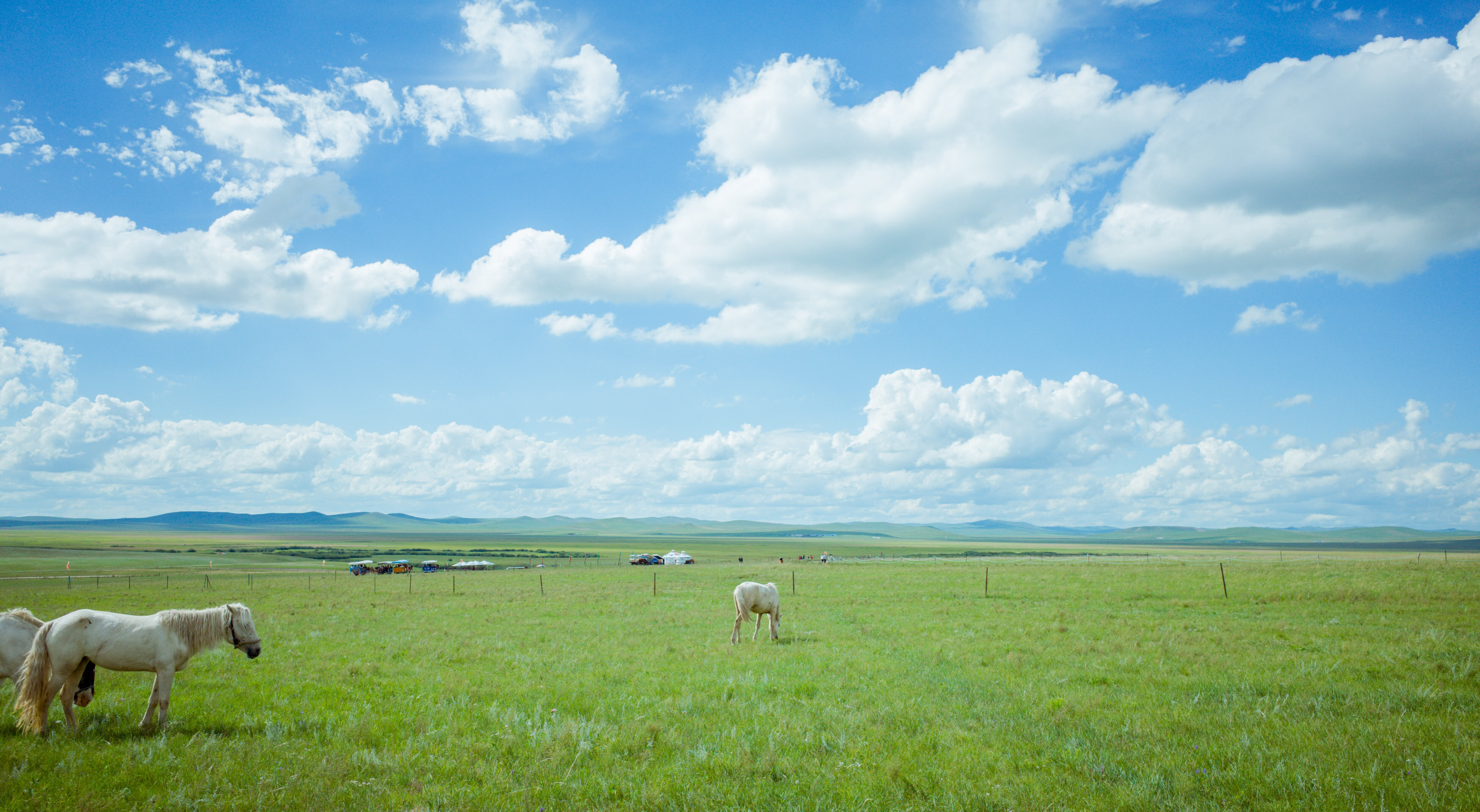 内蒙草原旅游哪里好,内蒙古哪里的草原美丽又好玩