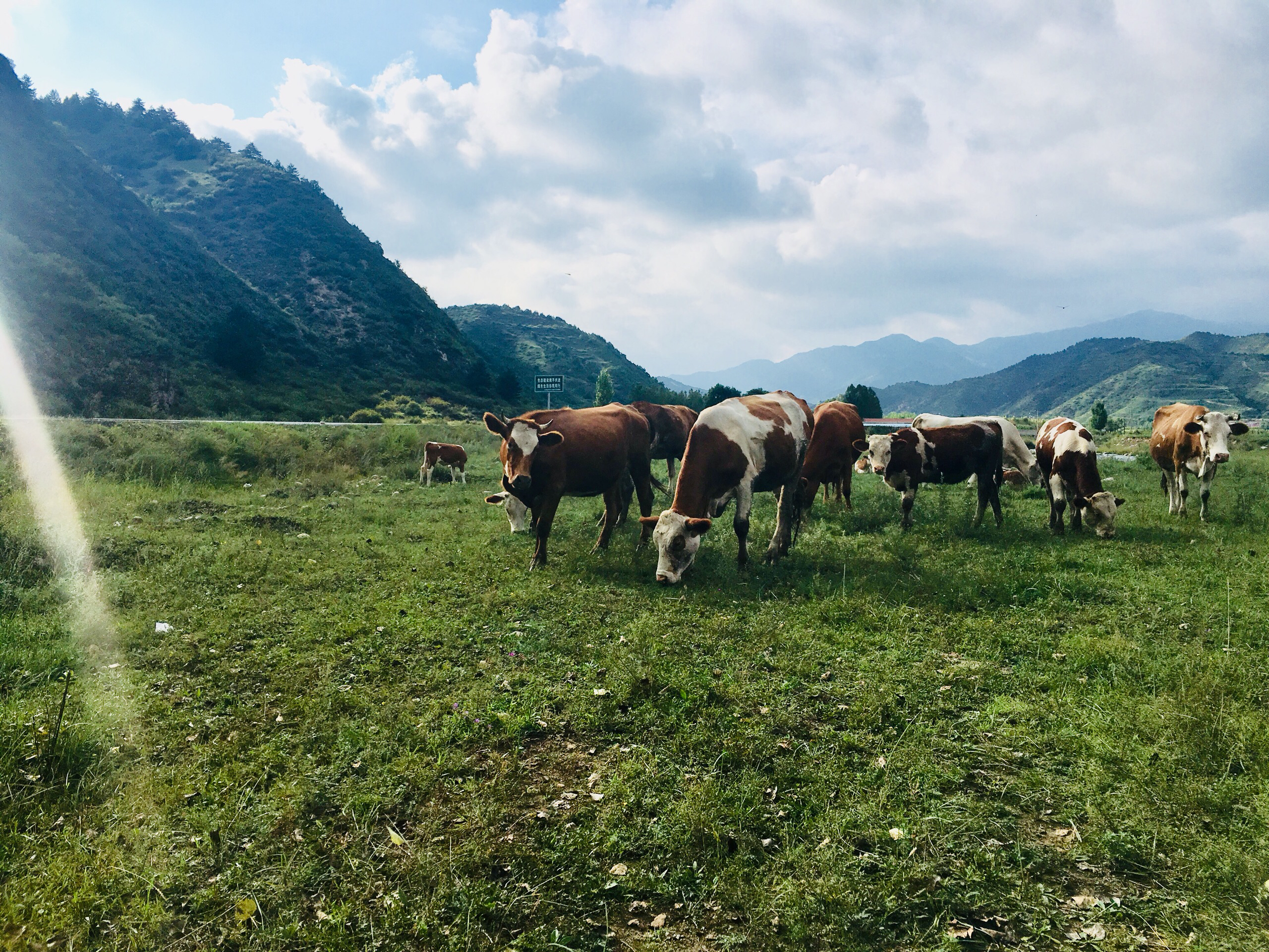 交城旅游图片,交城自助游图片,交城旅游景点照片 - 马