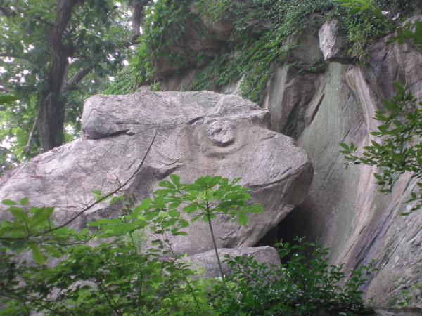 花果山游玩攻略,宜阳花果山游玩攻略