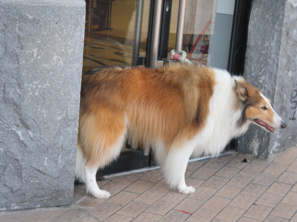 wKgBm04VgES5_aYxAAL2YTznKwQ28.jpeg?imageView2%2F2%2Fw%2F600%2Fh%2F600%2Fq%2F90