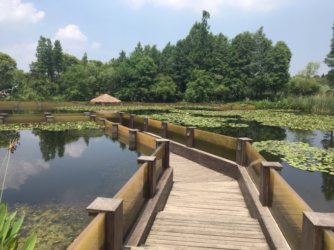 西溪2日游(东区攻略杭州半日游攻略,灵隐寺个人)稻城亚丁v攻略湿地一攻略图片