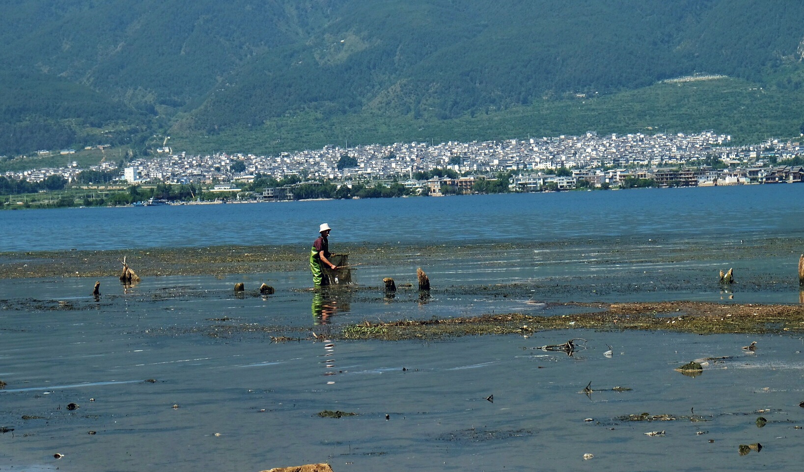 河尾村人口_人口普查(2)