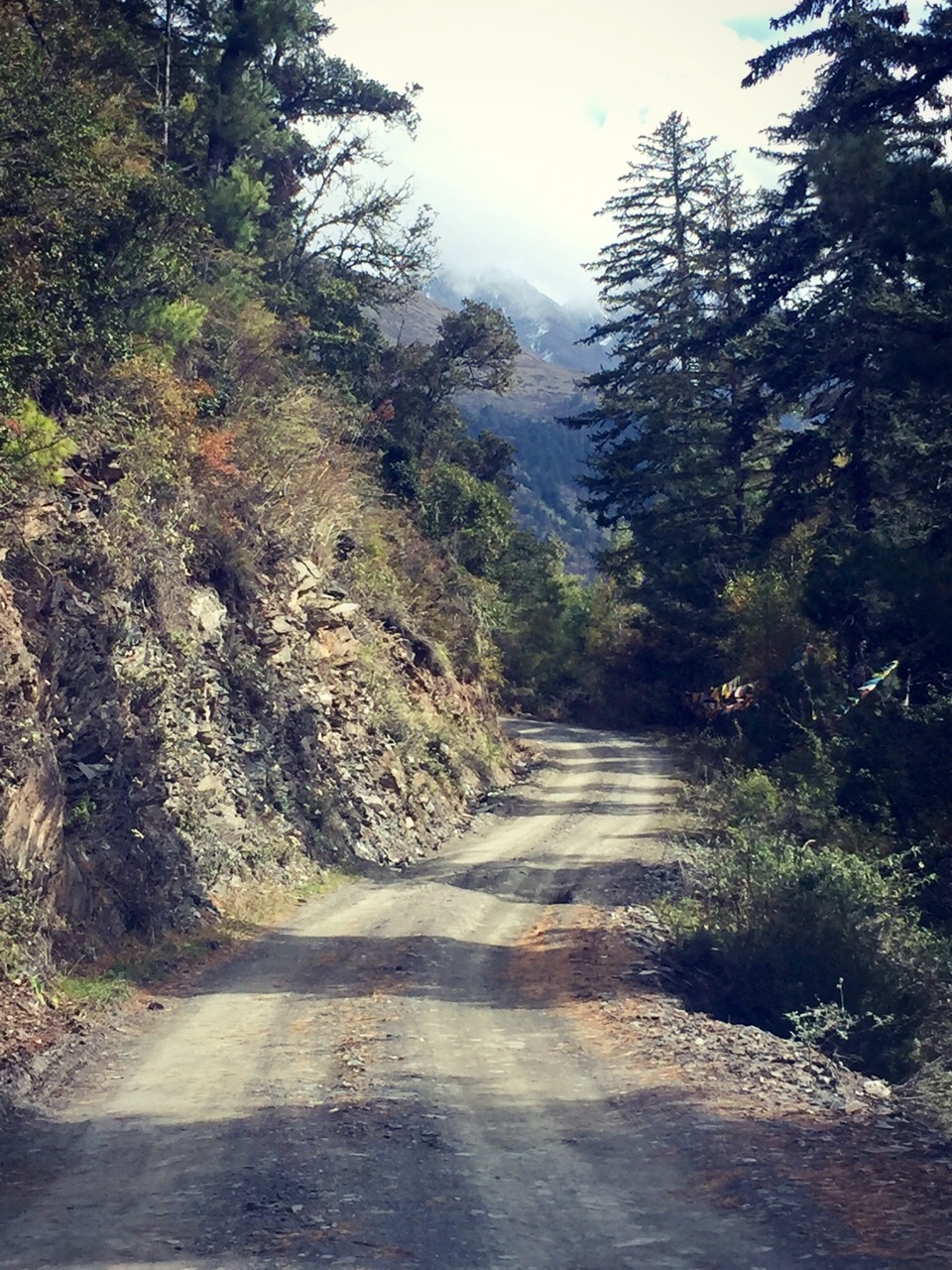 山路异常崎岖,险峻,我们这辆轿车有点吃不消,几乎是刮着底盘上去的.