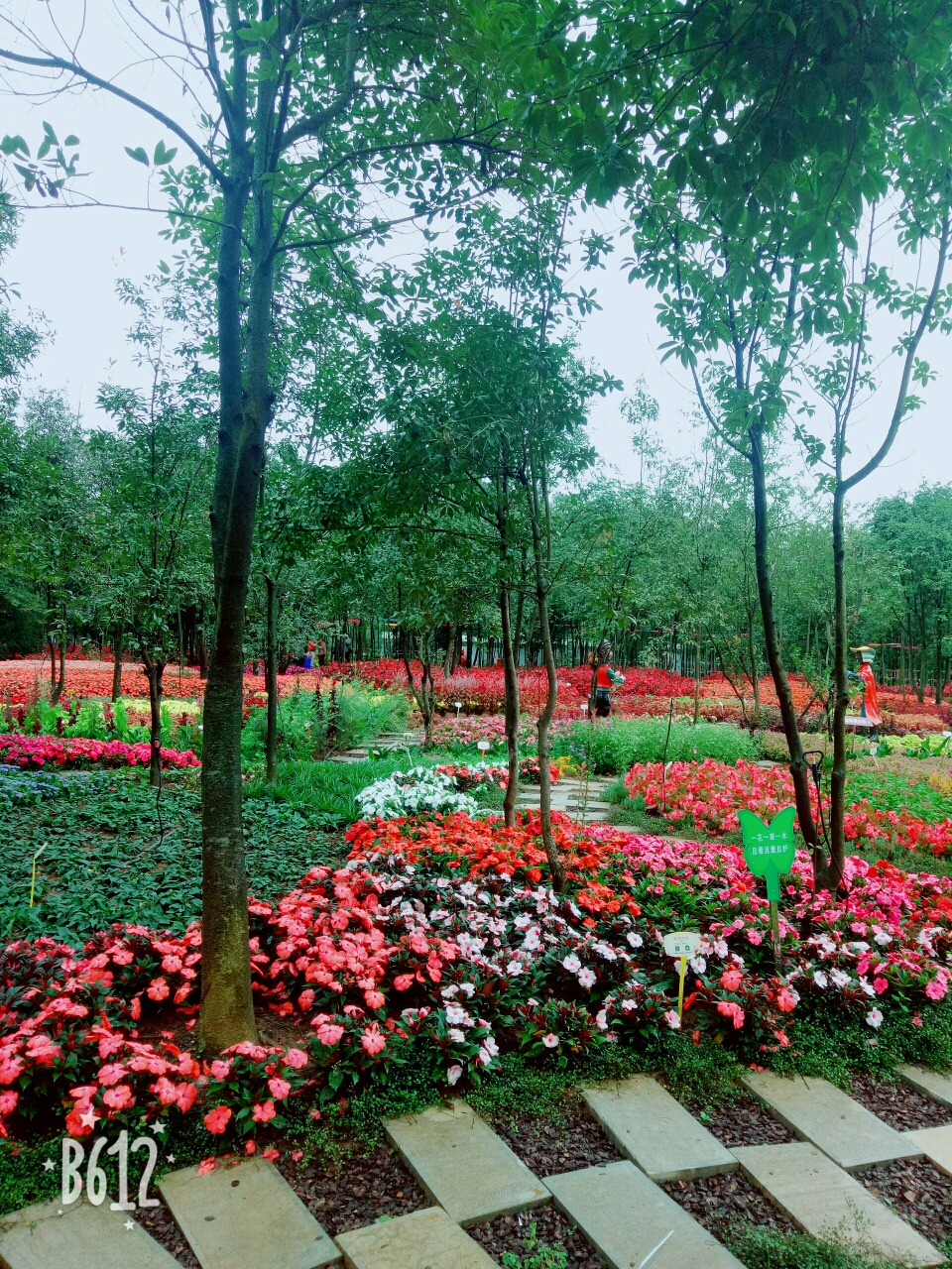 嵩明县小街花仙子风景区