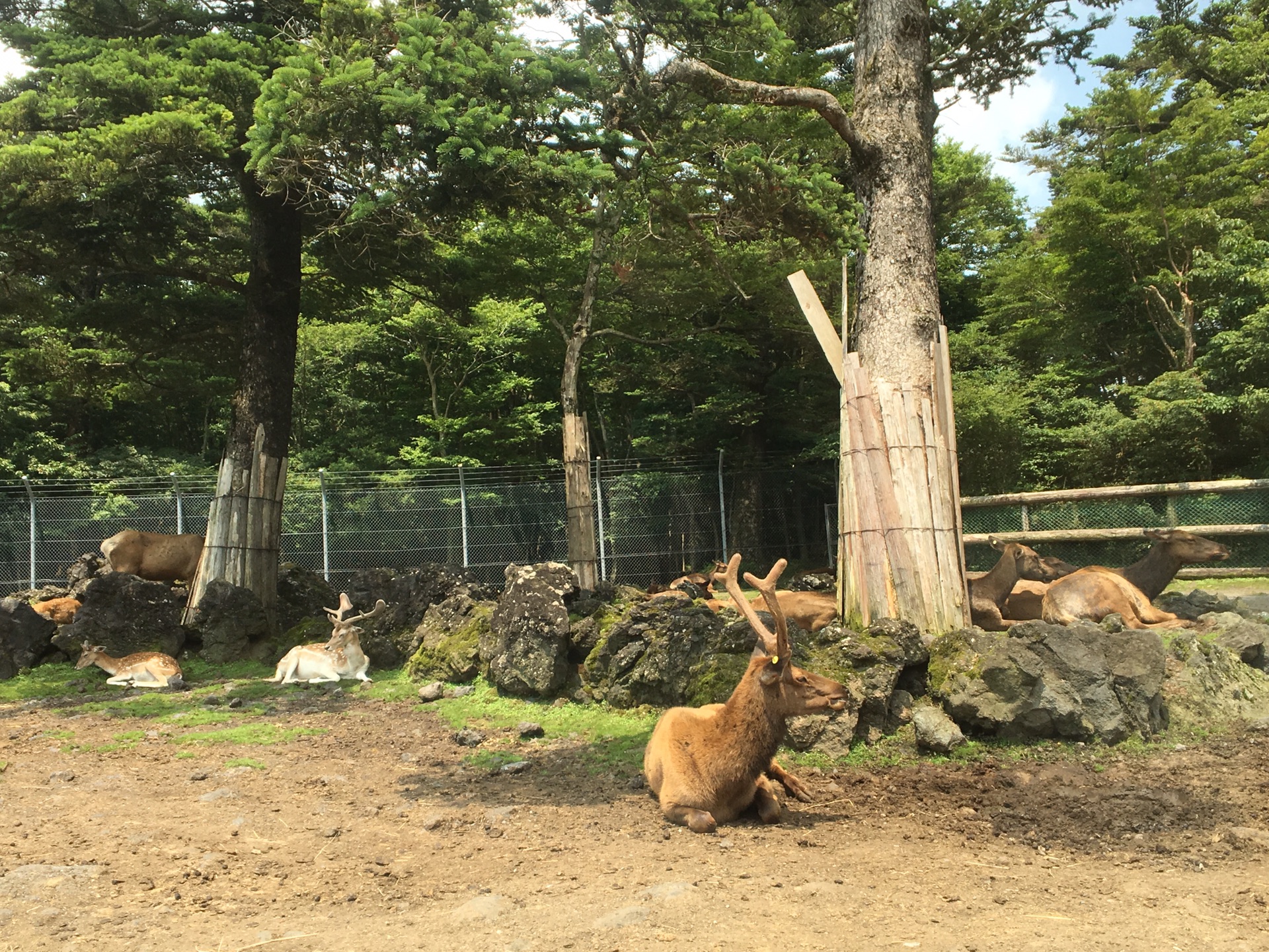 日本静冈县富士野生动物园