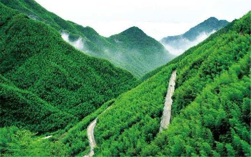 湖州 安吉中国大竹海景区门票《卧虎藏龙》拍摄地