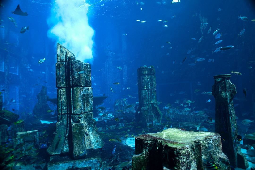 迪拜亚特兰蒂斯失落的空间水族馆神秘小型博物馆亚特兰蒂斯文明遗迹超