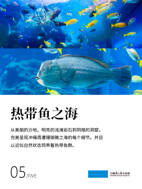 日本冲绳美丽海水族馆门票可选直达交通那霸机场取票