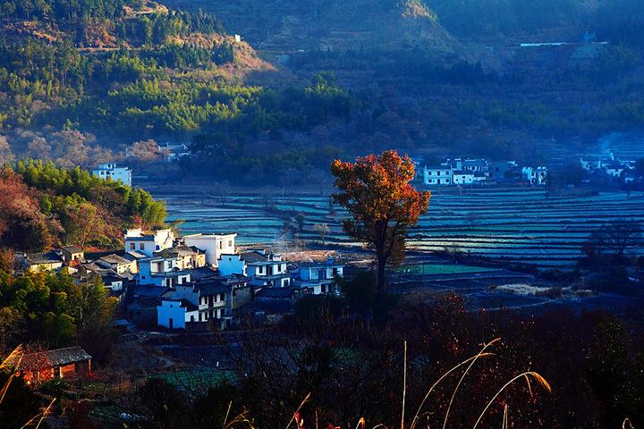 黄山黟县 塔川景区官方电子票(提前半小时预订/官方直销/快速出票)