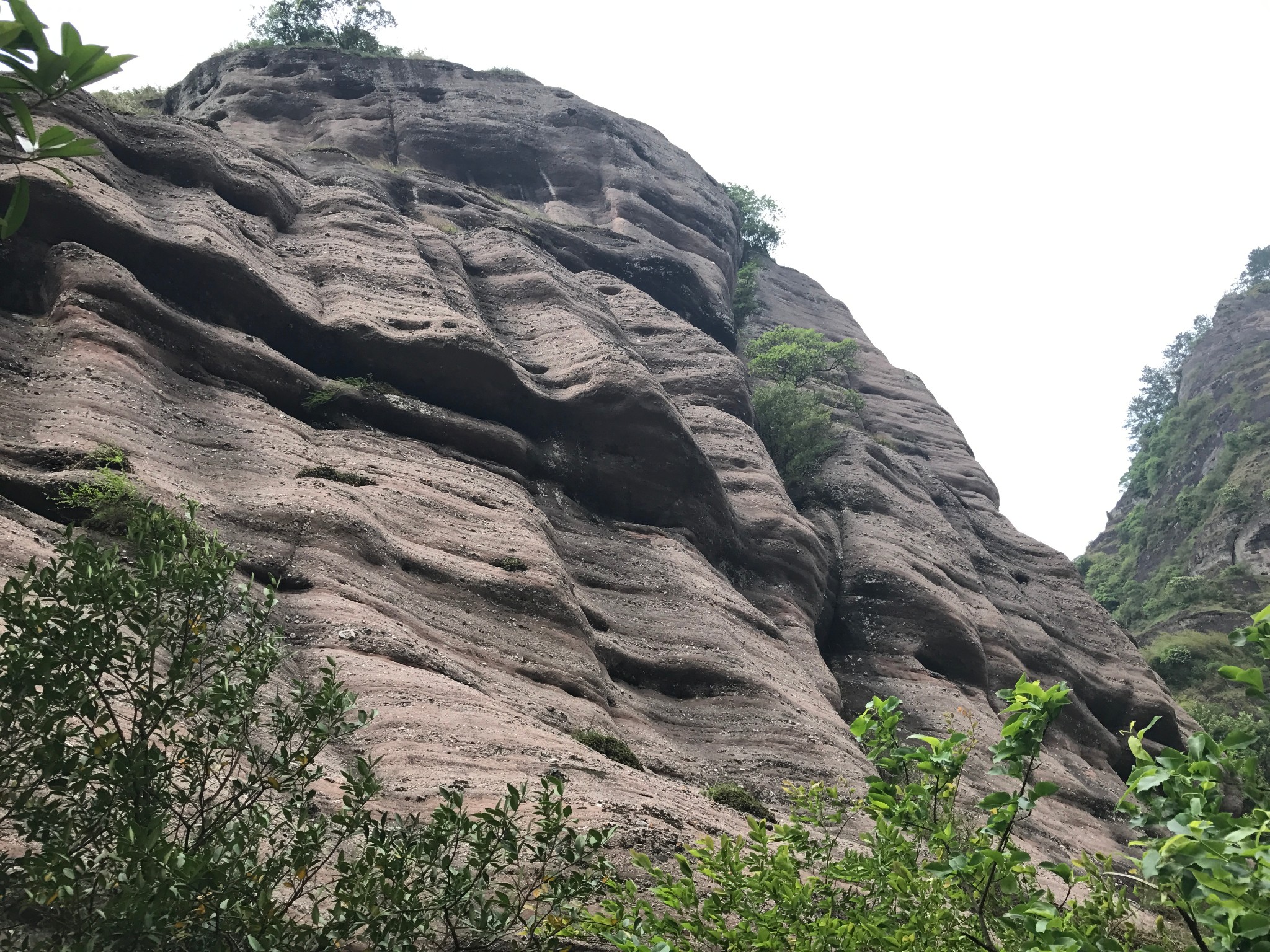所以好像看不到鲤鱼背),就开始走木楼梯往石门湖去了,冠豸山和石门湖