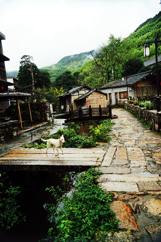 一座纯粹得近乎原始的小山村—黄岩半山村