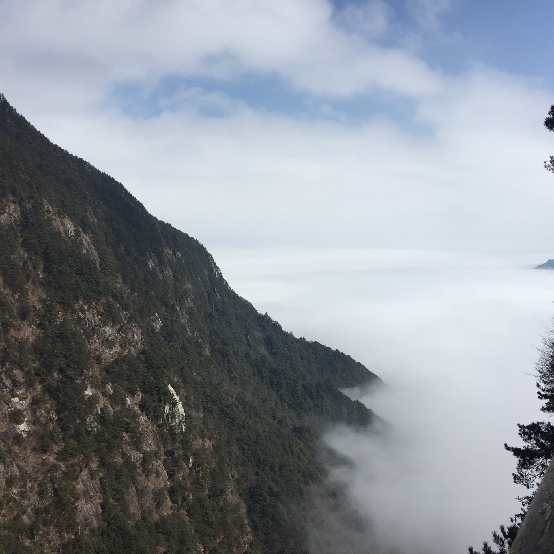 山下有雾,山上美景