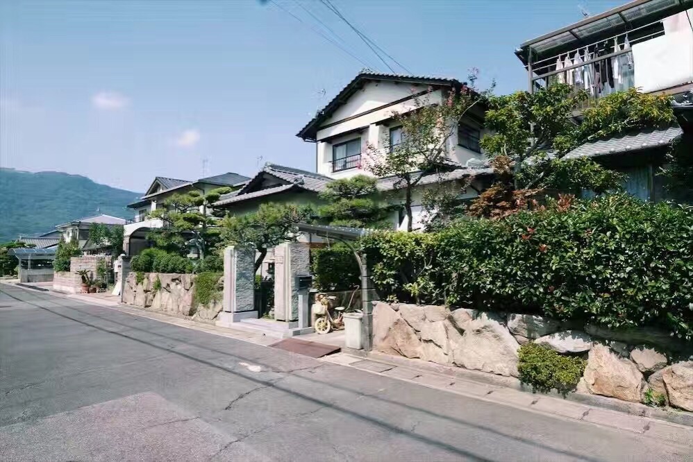 去日本人均_日本海豚湾图片(2)