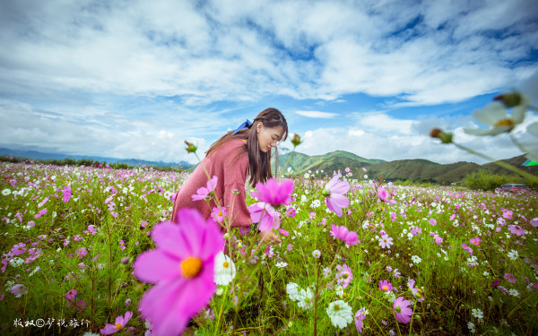 随风飘摇的花 wKgBZ1nOooSAAFfdABAB5Cm7__U26.jpeg?imageView2%2F2%2Fw%2F600%2Fh%2F600%2Fq%2F90