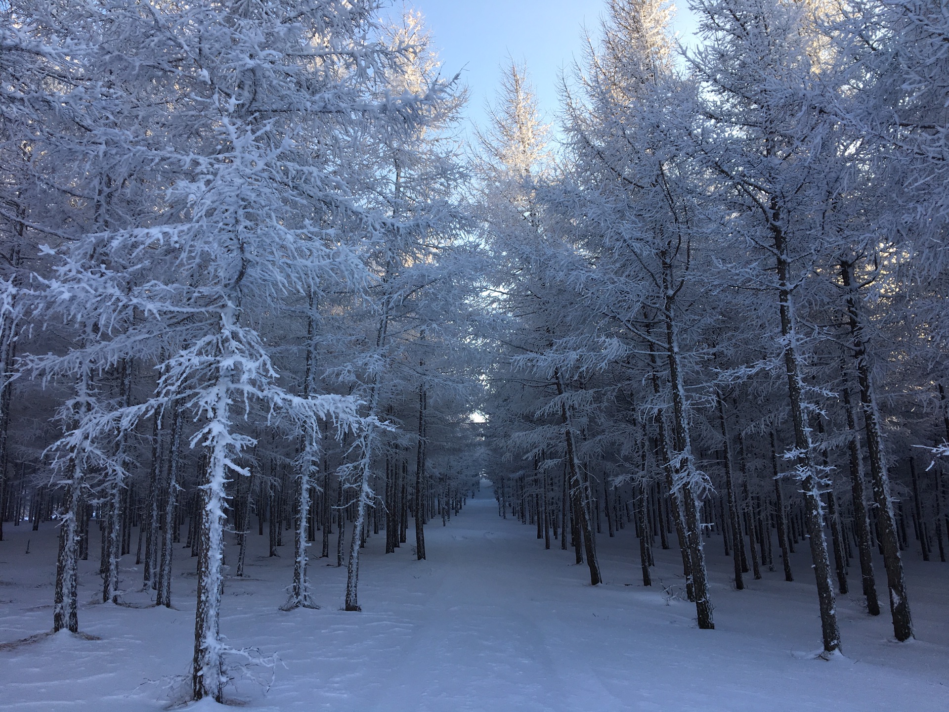 冰雪天路行