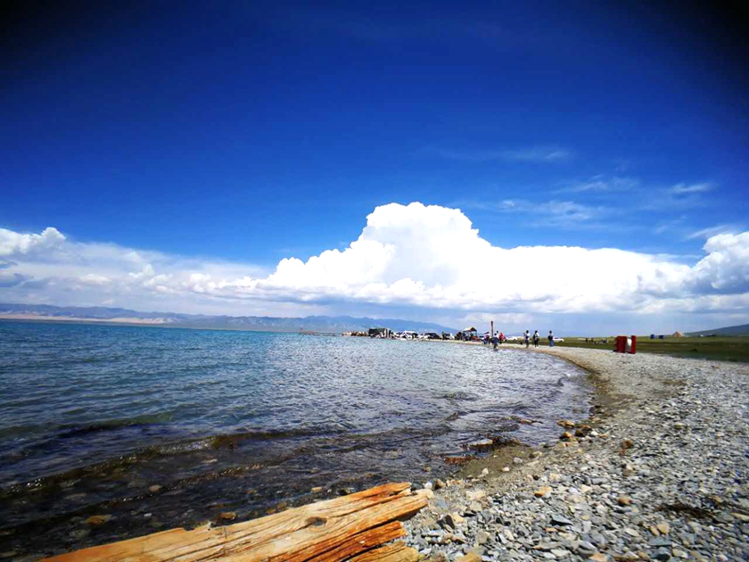 绝美青海湖 青海甘肃九天大环线,青海湖旅游攻略 - 马