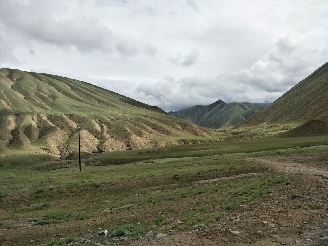 叶城县坡陇原始森林路边记,叶城旅游攻略 - 马蜂窝