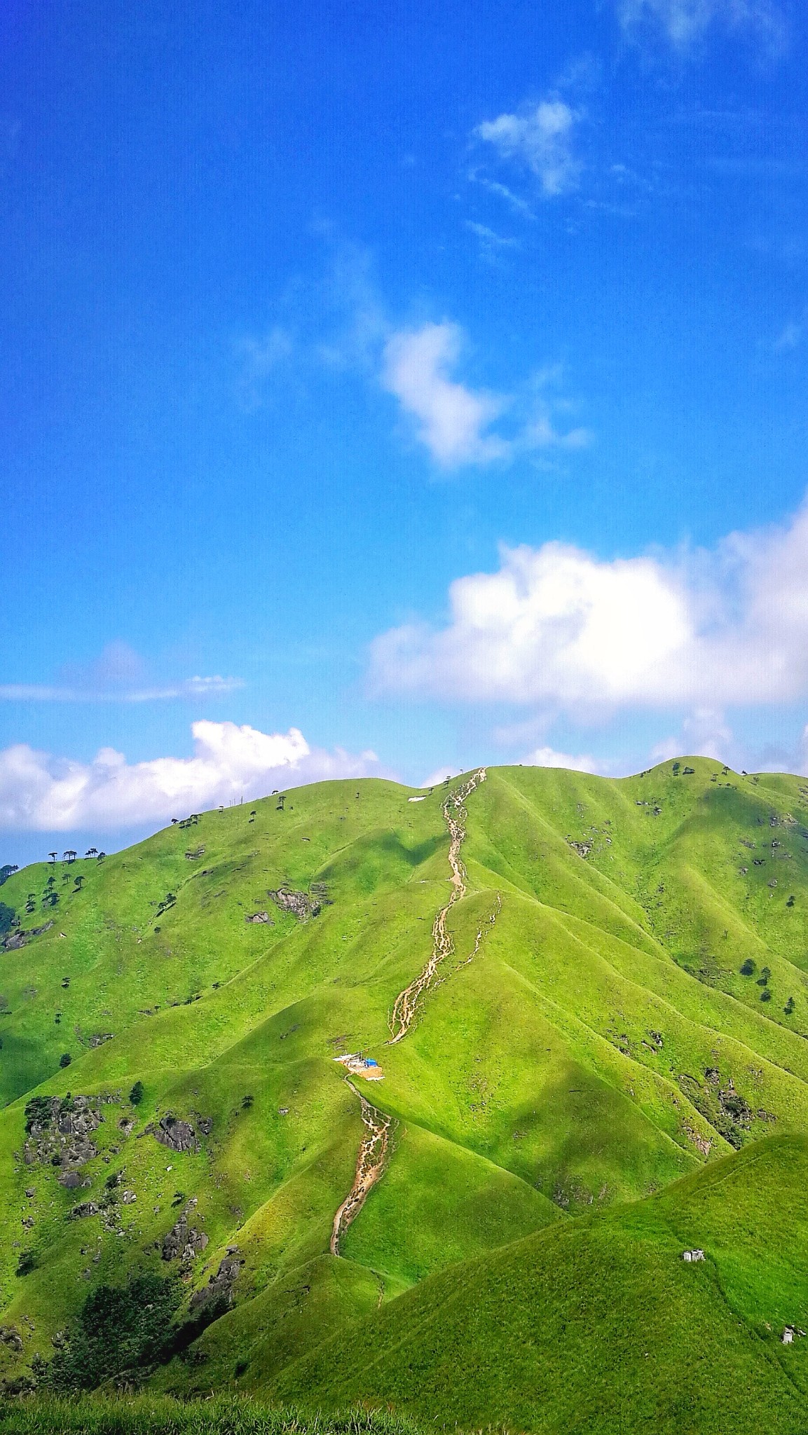 武功山|灿烂夏末,遇见你们真好,江西自助游攻略 - 马