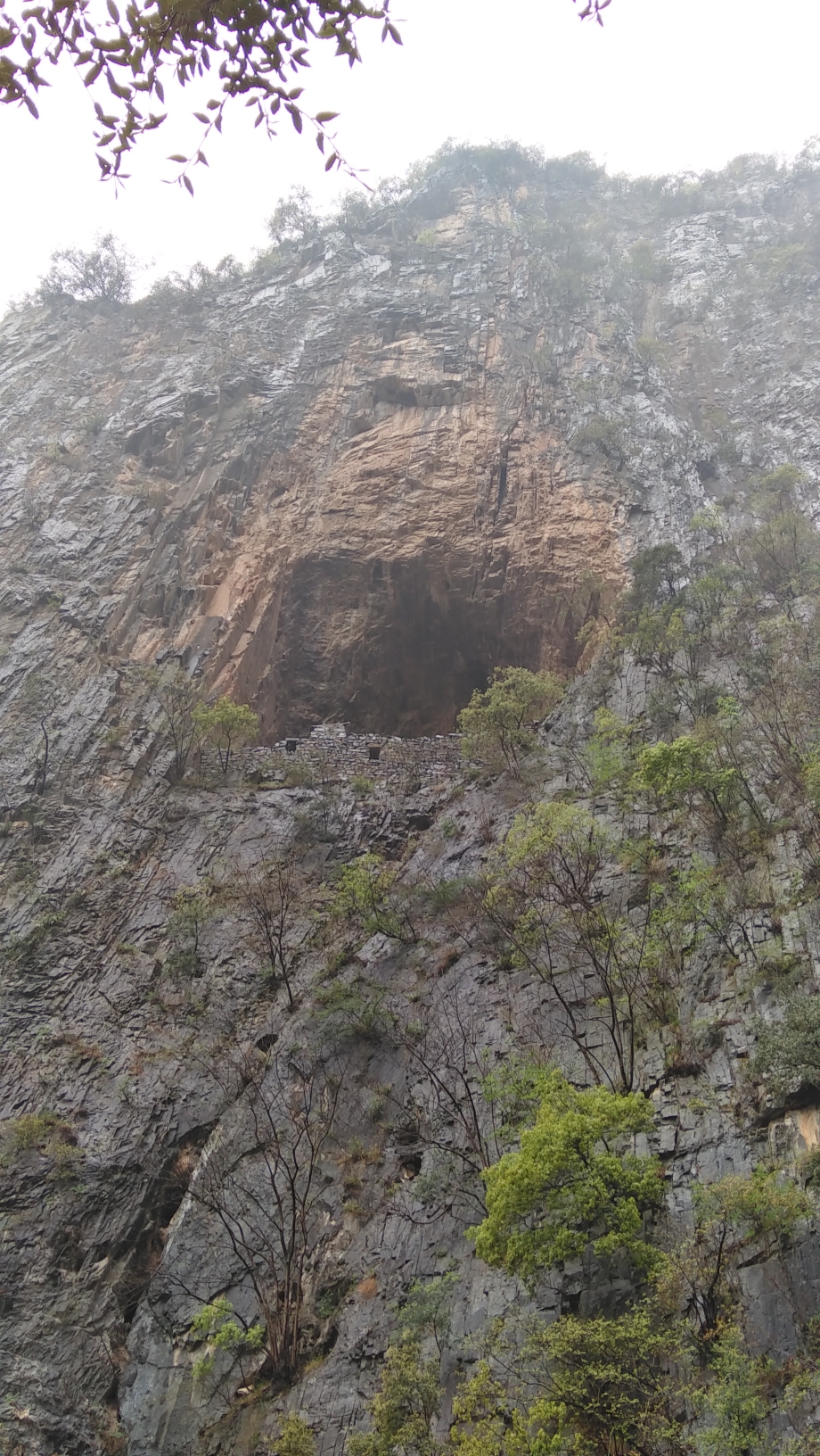 山阳县有多少人口_陕西山阳县一小镇109人确诊尘肺病,医生称被救助的是少数