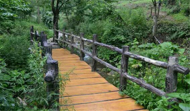 洛阳天宇红豆杉景区门票电子票(景区网络售票窗口换票