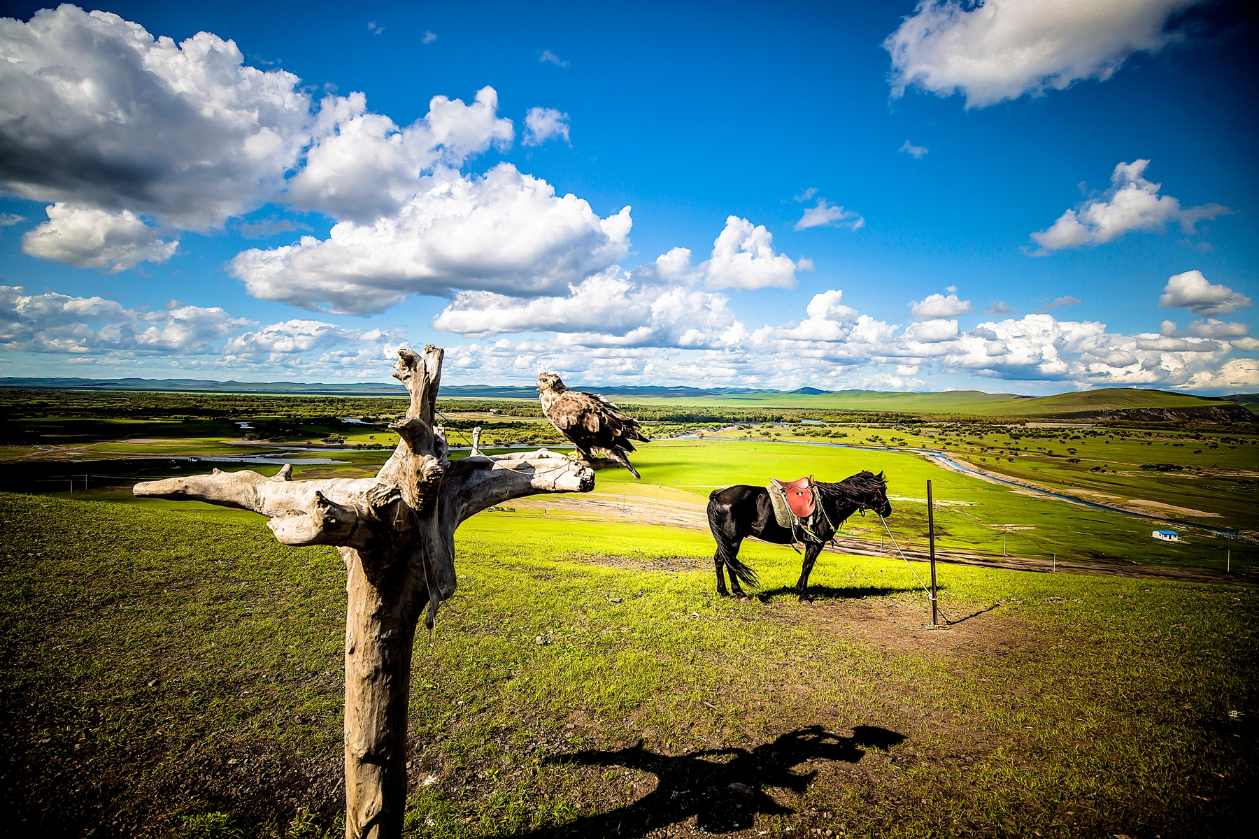 拉布大林农场湿地:一处可拍神雕侠侣的地方