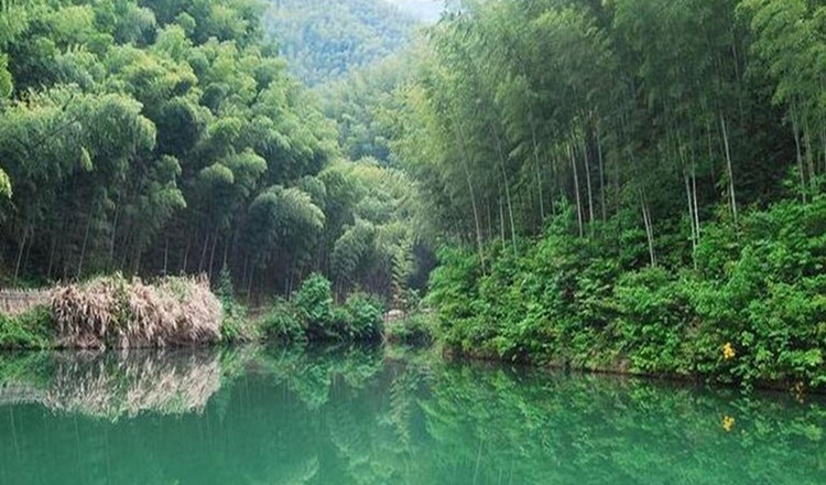 黄山木坑竹海风景区 木坑竹海电子票 宏村门票 宏村联