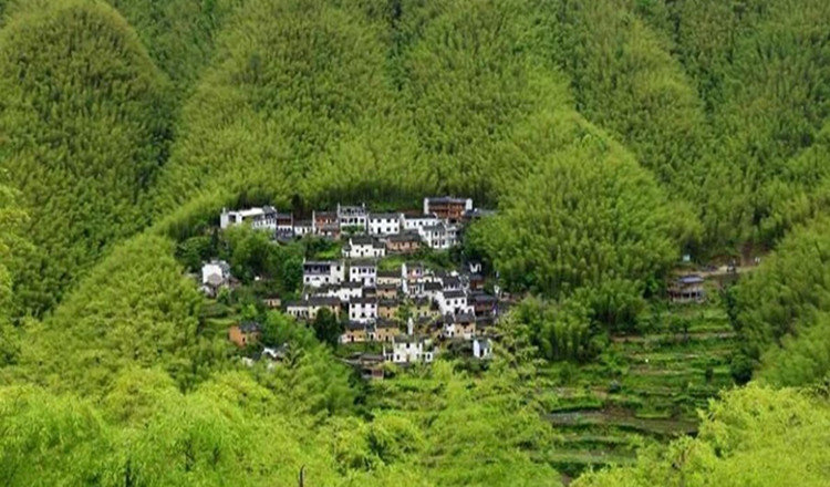 黄山木坑竹海风景区 木坑竹海电子票 宏村门票 宏村联