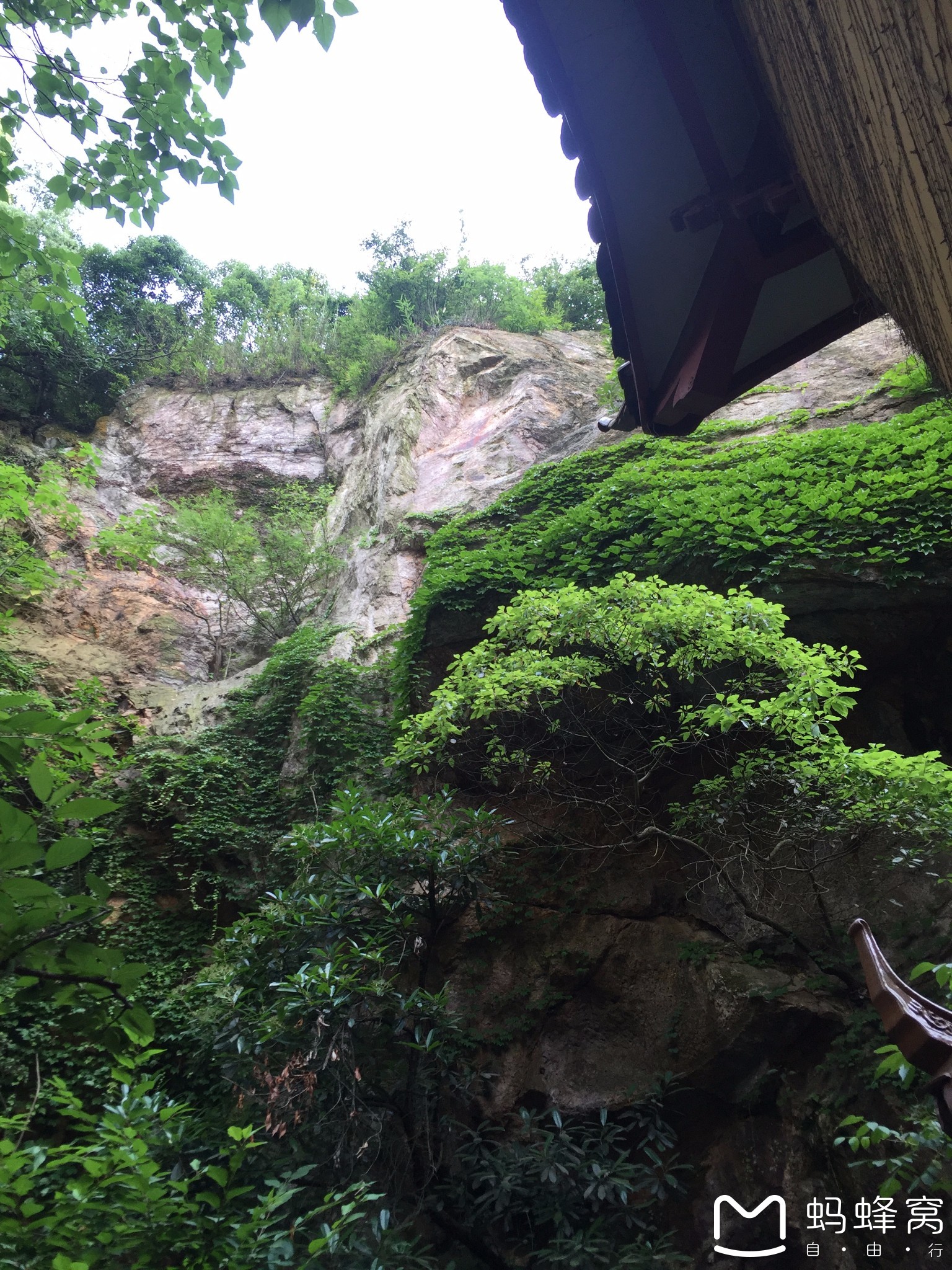 阳山火山地质公园半日游