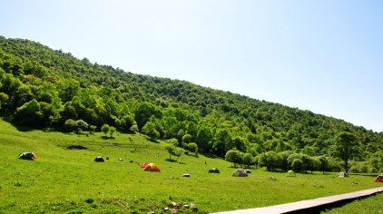 大水川景区是一处原生态的高山草甸,森林层峦叠嶂,草场广阔无垠.