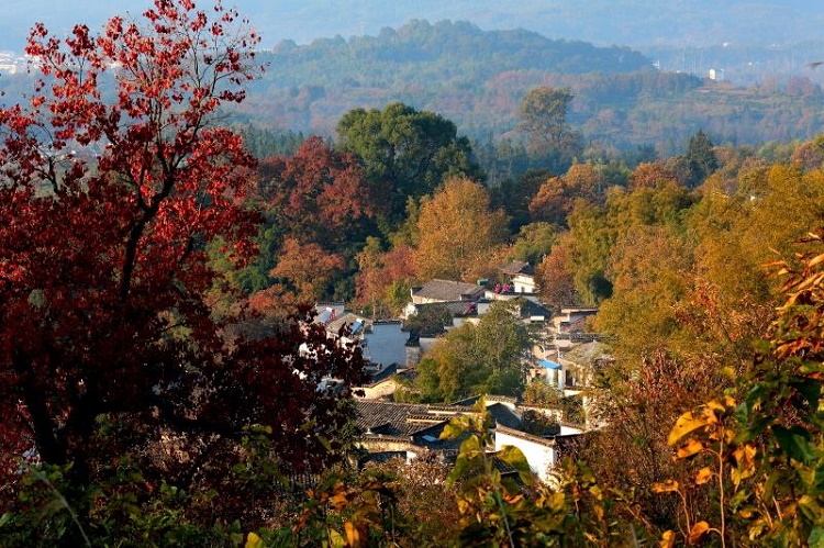 塔川红叶 黄山黟县宏村塔川景区电子门票(提前30分钟预定 随到随进)