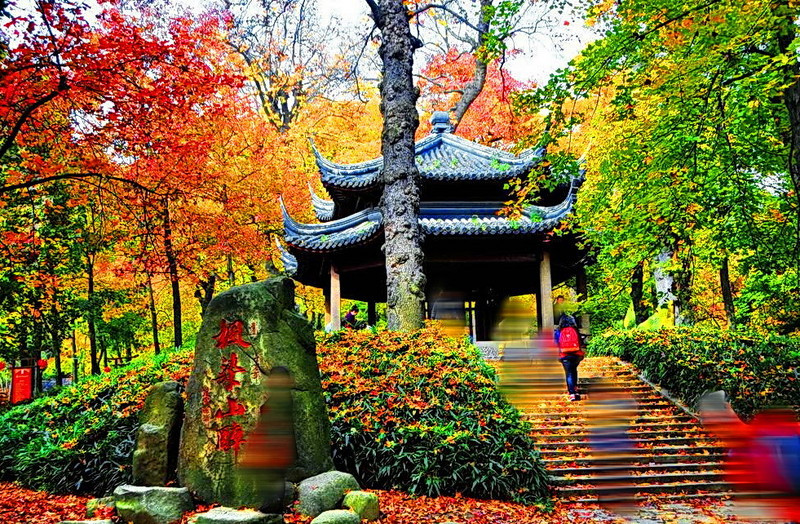 苏州天平山景区门票(自动出票,立即生效)