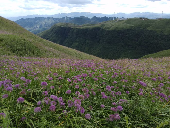 贵州赫章县大韭菜坪最佳旅游季节是几月