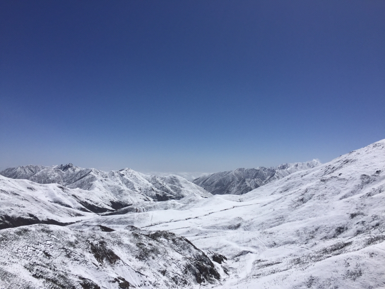 大冬树山垭口清明节左右路况