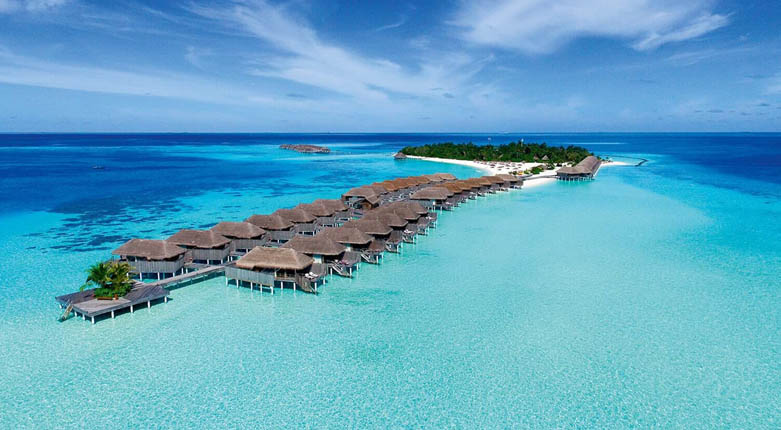 中央格兰德和魔富士选哪个