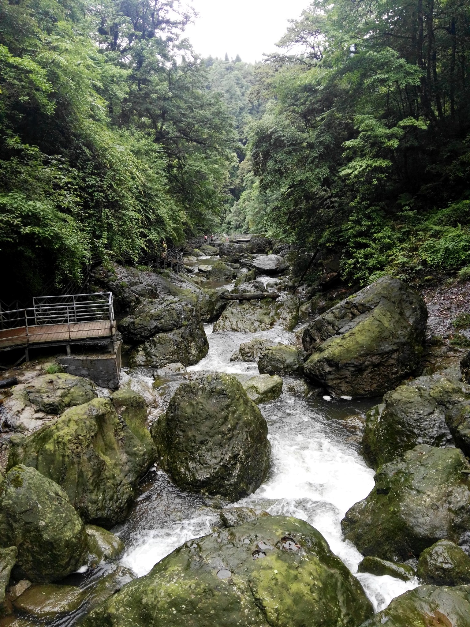 在凡尘中赴一场洗肺之旅——荥经龙苍沟