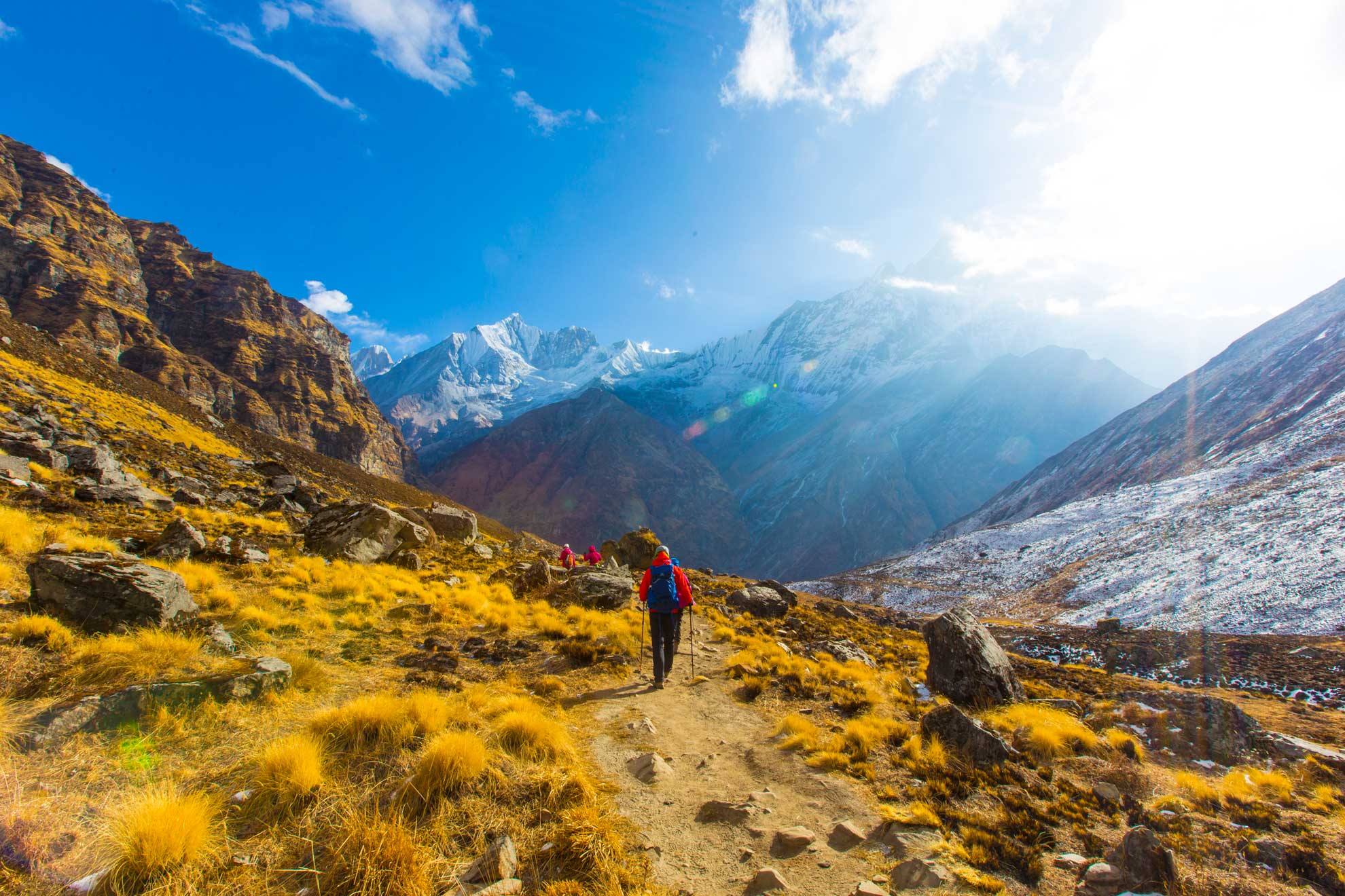 wKgBZ1hvP_2AATLaAAWsJHwSsPs05.jpeg?imageView2%2F2%2Fw%2F510%2Fh%2F8000%2Fq%2F100