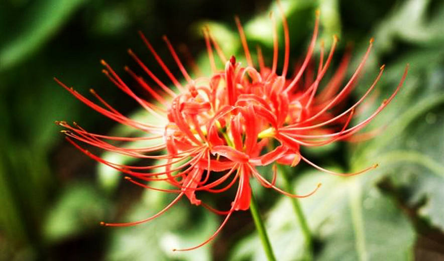 wKgBZ1mRMsqAB_FQAAEaGLE55hs28.jpeg?imageView2%2F2%2Fw%2F600%2Fh%2F600%2Fq%2F90