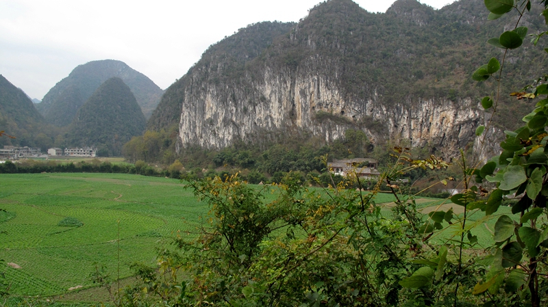 安顺有多少人口_车厘子安顺哪些地方有(3)