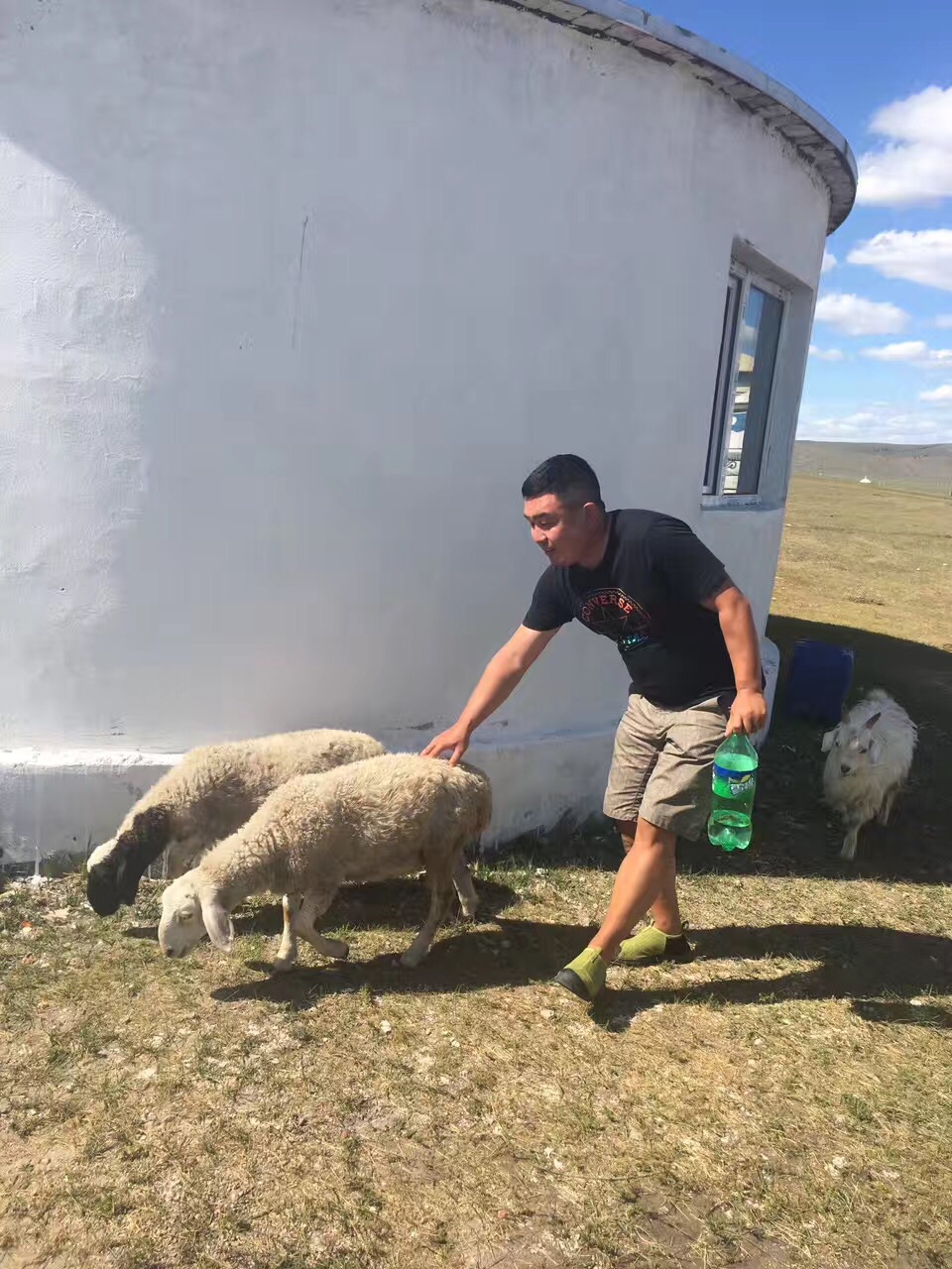 海拉尔有多少人口_2018,我家的草原之旅