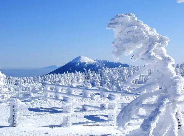 日本签证再放宽!新增东北三个刷签地竟然这么