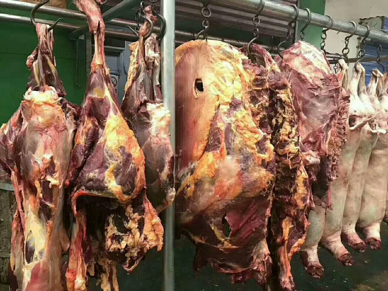 黑枸杞 牦牛肉干 青海湖特产 有想要的私聊my666ge