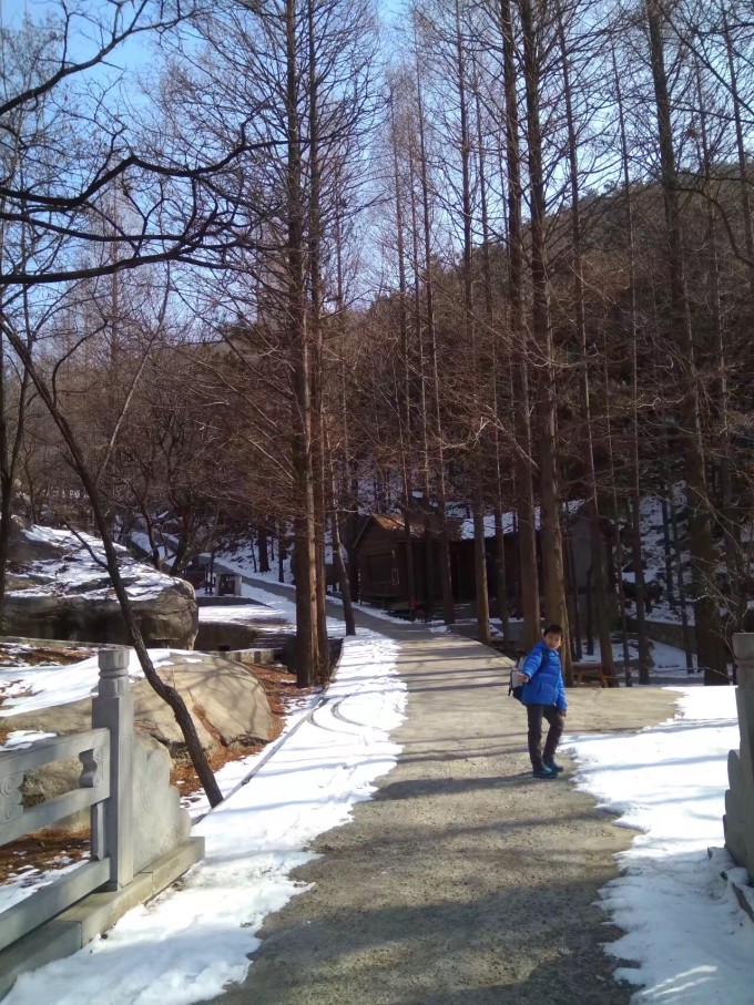 寒假游玩攻略山东,寒假山东旅游景点攻略