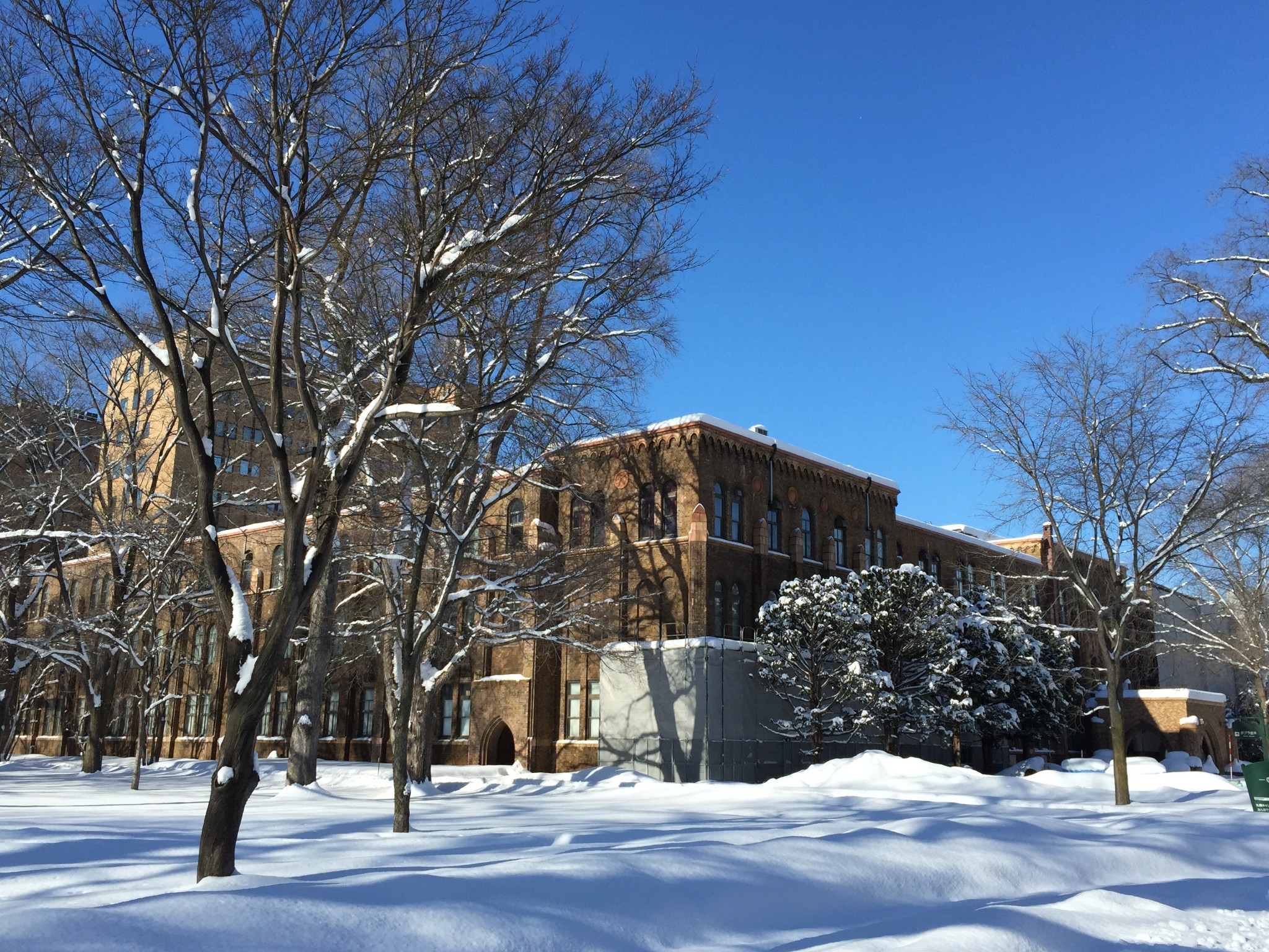 北海道大学札幌校区      