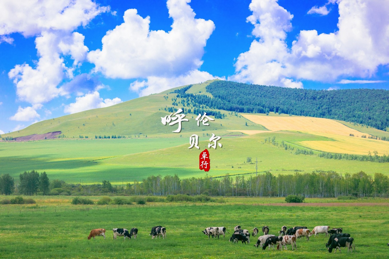 【内蒙古呼伦贝尔大草原自由行攻略【内蒙古呼伦贝尔大草原自由行