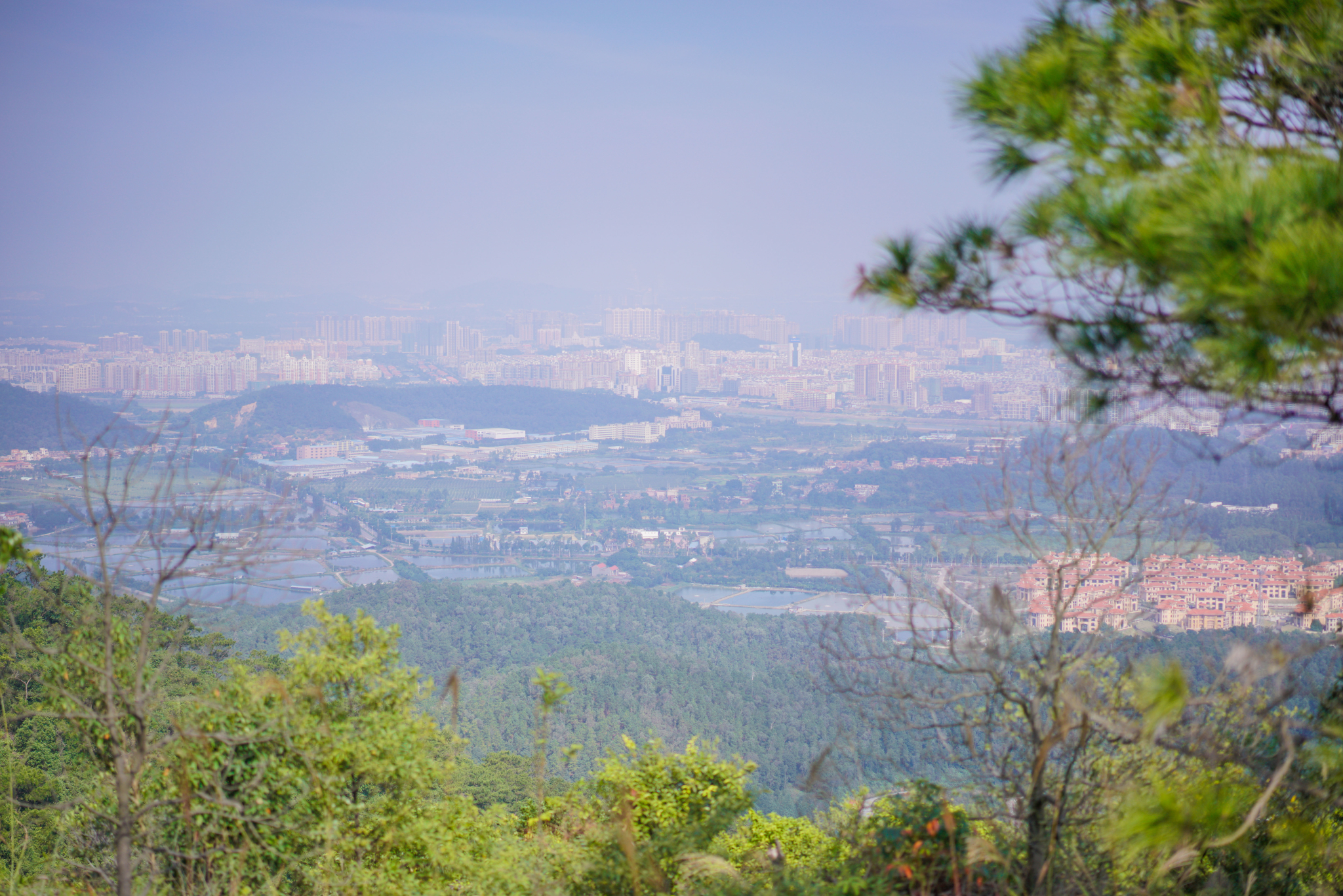 佛山高明茶山,只为拍照不为鸡之旅