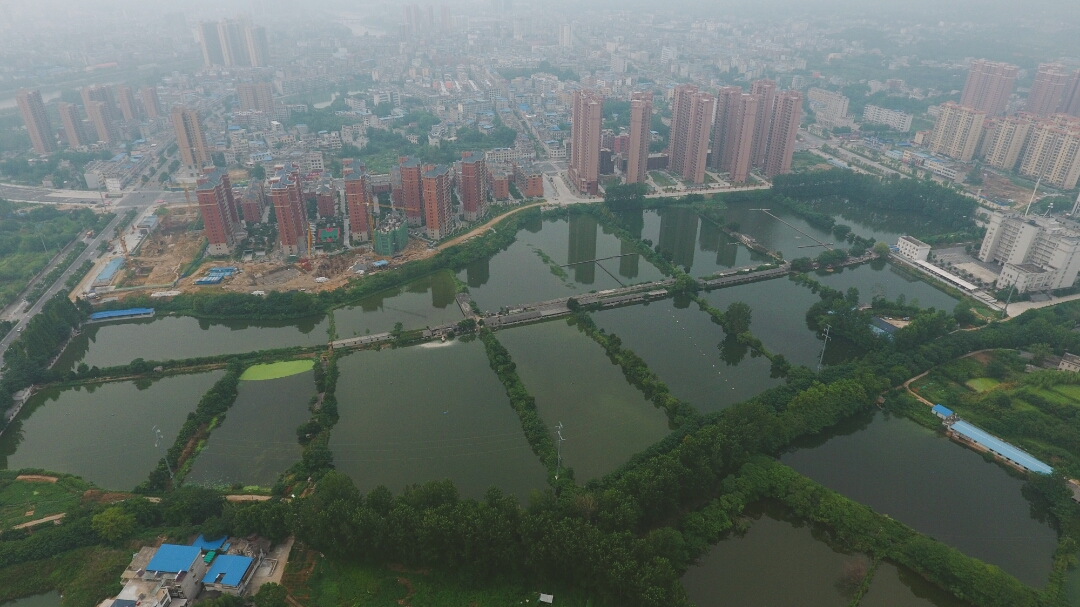 浠水人口碑_湖北浠水