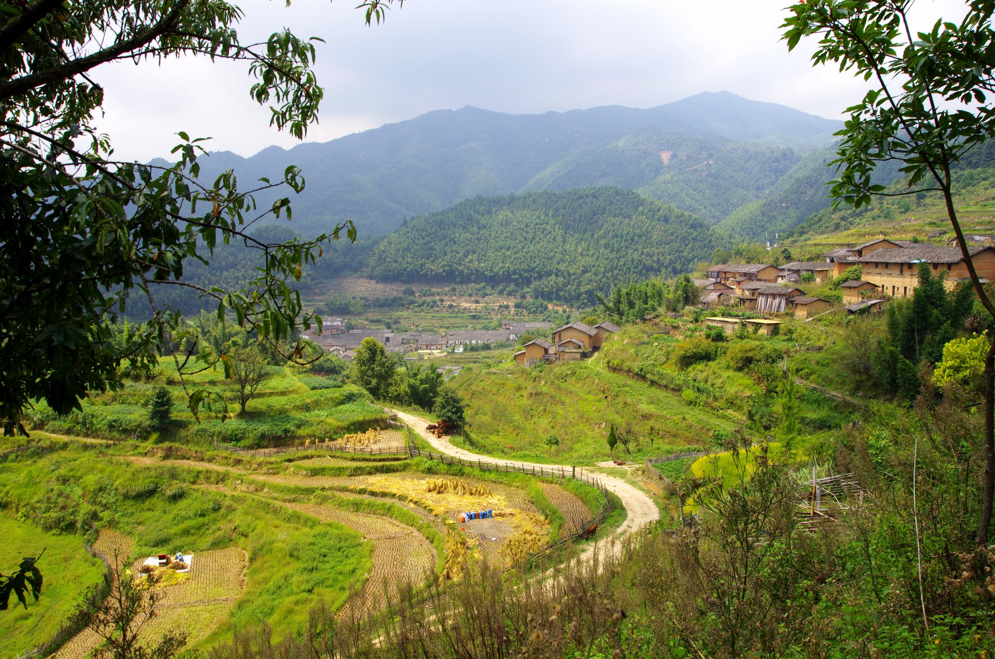 一道失去的美景-------始兴县马市镇文路村梯田