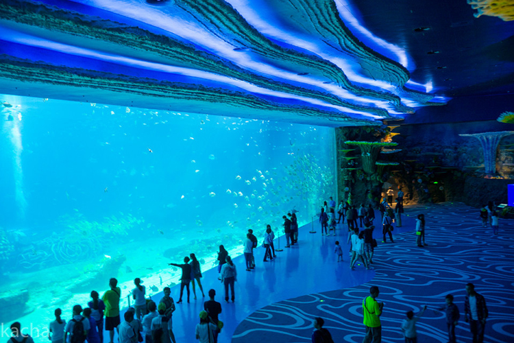 南京海底世界 海洋公园门票/多景点套票 含极地企鹅馆水族馆(穿越海底