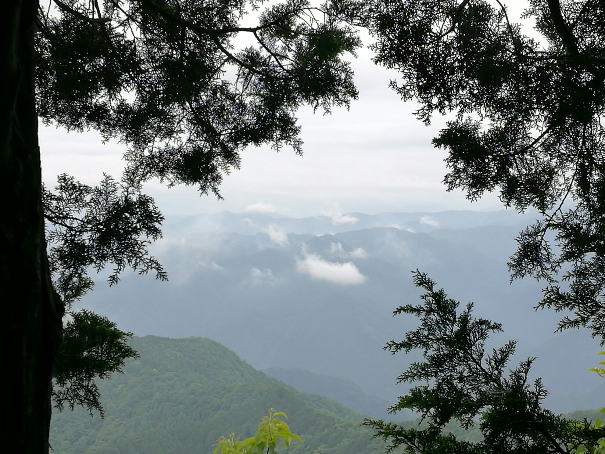 大岳山-鸩之巢溪谷-奥多摩温泉(#东京都郊外游历# 推荐)