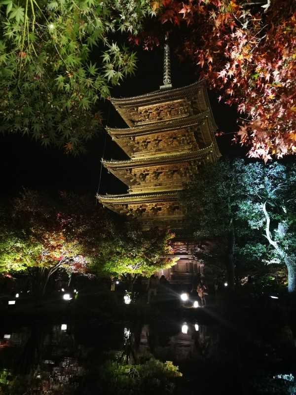 2016年11月日本红叶狩六日自由行游记(含攻略)图片